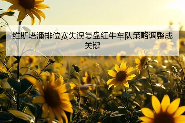 维斯塔潘排位赛失误复盘红牛车队策略调整成关键